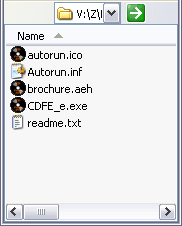 The autorun CD in the temporary folder